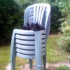 2007-09-18 Garden watch_l.jpg